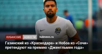 Георгий Джикия - Антон Шунин - Кристиан Нобоа - Юрий Газинский - Евгений Луценко - Павел Погребняк - Юрий Жирков - Матиас Норманн - Михаил Кержаков - Газинский из «Краснодара» и Нобоа из «Сочи» претендуют на премию «Джентльмен года» - kubnews.ru - Сочи - Краснодар