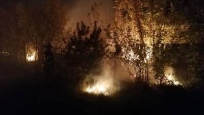 Пожар на Луганщине: эвакуируют уже 4 села - ru.espreso.tv - Украина - Гсчс