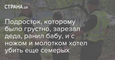 Подросток, которому было грустно, зарезал деда, ранил бабу, и с ножом и молотком хотел убить еще семерых - strana.ua - Ивано-Франковская обл.