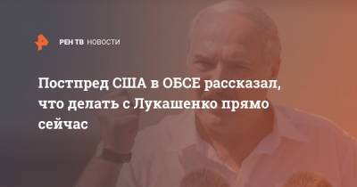 Александр Лукашенко - Джеймс Гилмор - Постпред США в ОБСЕ рассказал, что делать с Лукашенко прямо сейчас - ren.tv - США - Белоруссия