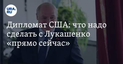 Александр Лукашенко - Джеймс Гилмор - Дипломат США: что надо сделать с Лукашенко «прямо сейчас» - ura.news - Россия - США - Белоруссия
