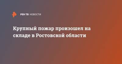 Василий Голубев - Крупный пожар произошел на складе в Ростовской области - ren.tv - Ростовская обл. - Шахты