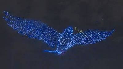 Андрей Захаров - Балет светлячков: 2,5 тысячи дронов взмыли в ночное небо Петербурга - 5-tv.ru - Россия - Санкт-Петербург