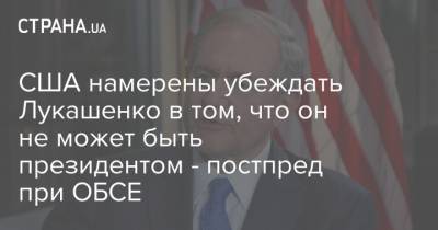 Александр Лукашенко - Дональд Туск - Джеймс Гилмор - США намерены убеждать Лукашенко в том, что он не может быть президентом - постпред при ОБСЕ - strana.ua - Россия - США - Украина - Белоруссия
