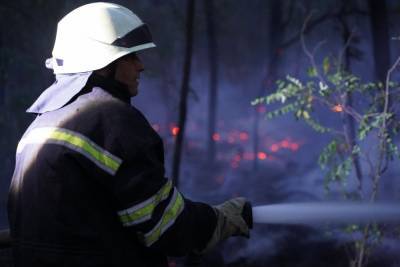 На Луганщине продолжается тушение трех очагов пожаров: оперативная информация - vchaspik.ua - Украина - район Станично-Луганский - Гсчс
