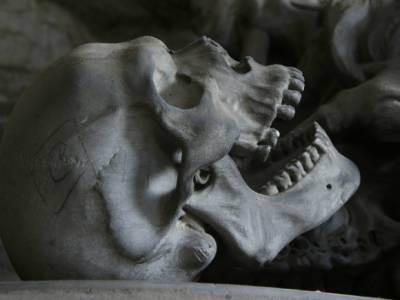 Скелет мужчины год пролежал в подвале дома в Москве - rosbalt.ru - Москва - Россия - Юлия Иванова