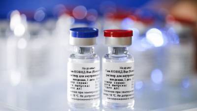 Марсело Эбрард - Мексика примет участие в испытании российской вакцины от COVID-19 - golos-ameriki.ru - Франция - Мексика - Куба