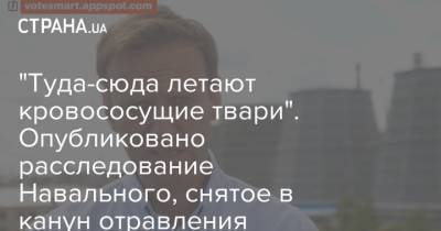 Алексей Навальный - "Туда-сюда летают кровососущие твари". Опубликовано расследование Навального, снятое в канун отравления - strana.ua - Россия - Томск