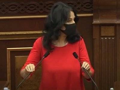 Наира Зограбян - «Процветающая Армения»: Люди не могут выехать из Армении и это огромная проблема - news.am - Россия - Армения