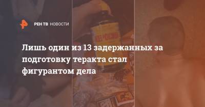 Лишь один из 13 задержанных за подготовку теракта стал фигурантом дела - ren.tv - Россия