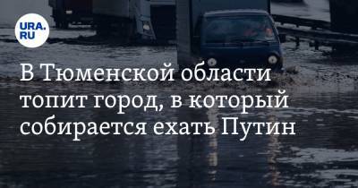 Владимир Путин - В Тюменской области топит город, в который собирается ехать Путин. ФОТО - ura.news - Россия - Тюменская обл. - Тобольск