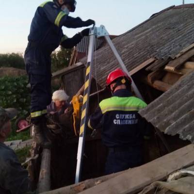 Спасатели в Удмуртии вытащили корову из овощной ямы - gorodglazov.com - респ. Удмуртия