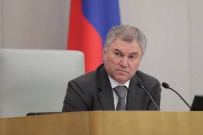 Вячеслав Володин - Володин поручил доработать проект о поиске пропавших людей по геолокации - aif.ru