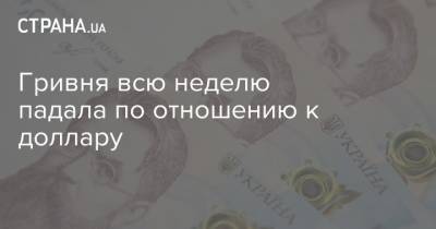 Гривня всю неделю падала по отношению к доллару - strana.ua - Украина