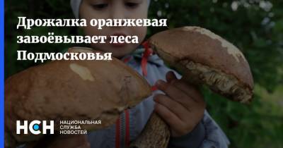 Дрожалка оранжевая завоёвывает леса Подмосковья - nsn.fm - Московская обл.