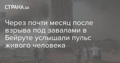 Через почти месяц после взрыва под завалами в Бейруте услышали пульс живого человека - strana.ua - Ливан - Бейрут