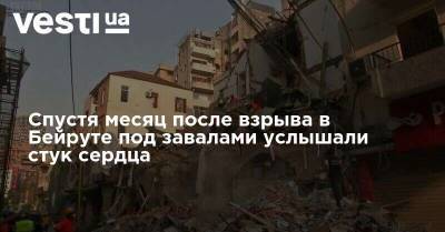 Спустя месяц после взрыва в Бейруте под завалами услышали стук сердца - vesti.ua - Чили - Бейрут