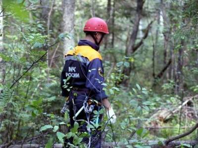 Спасатели разыскивают пропавшего в Смирныховском районе человека - sakhalin.info - Россия - Сахалинская обл. - Южно-Сахалинск - район Смирныховский