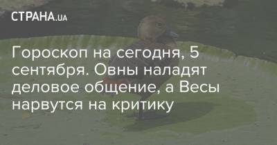 Гороскоп на сегодня, 5 сентября. Овны наладят деловое общение, а Весы нарвутся на критику - strana.ua