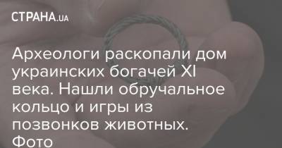 Археологи раскопали дом украинских богачей XI века. Нашли обручальное кольцо и игры из позвонков животных. Фото - strana.ua - Находка