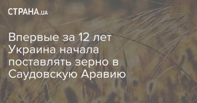 Впервые за 12 лет Украина начала поставлять зерно в Саудовскую Аравию - strana.ua - Украина - Саудовская Аравия - Черноморск