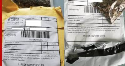 В США запретили доставку иностранных семян из-за странных посылок «из ниоткуда» - profile.ru - Китай - США - Англия - Канада