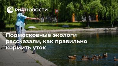 Подмосковные экологи рассказали, как правильно кормить уток - ria.ru - Москва - Московская обл.