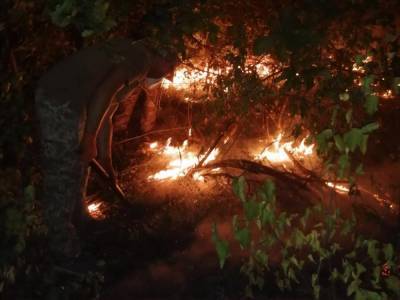 Сутки в ООС. Нарушений перемирия не зафиксировано, идут поиски двух тушивших пожар военнослужащих - gordonua.com - Украина - Донбасс