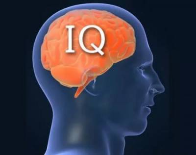 У детей, живущих в «зелёных» регионах, высокий IQ, – учёные - inform-ua.info - Бельгия