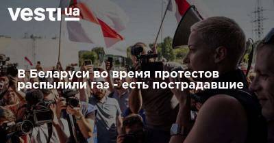 Александр Лукашенко - Светлана Тихановская - В Беларуси во время протестов распылили газ - есть пострадавшие - vesti.ua - Украина - Белоруссия - Минск