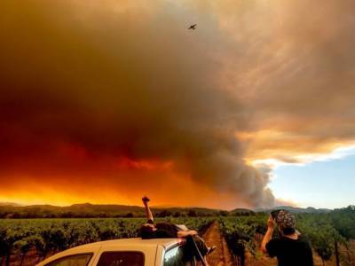 Ньюсом Гэвин - Пожары в Калифорнии: местные власти объявили чрезвычайное положение - golos.ua - США - шт. Калифорния