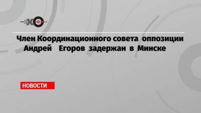 Андрей Егоров - Член Координационного совета оппозиции Андрей Егоров задержан в Минске - echo.msk.ru - Минск