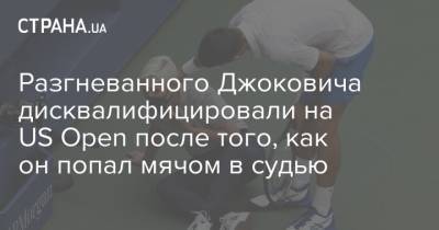 Джокович Новак - Новак Джокович - Разгневанного Джоковича дисквалифицировали на US Open после того, как он попал мячом в судью - strana.ua - США - Хорватия - Сербия