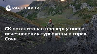 Роза Пик - СК организовал проверку после исчезновения тургруппы в горах Сочи - ria.ru - Россия - Сочи - Краснодарский край - Тверь