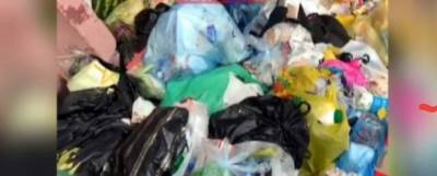 Жители Нерюнгри жалуются на несвоевременный вывоз мусора - runews24.ru - Нерюнгри