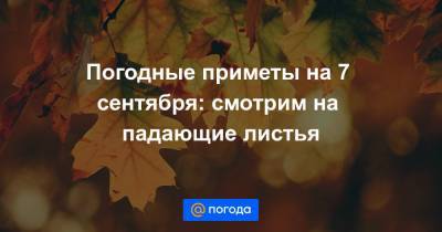 Екатерина Гура - Погодные приметы на 7 сентября: смотрим на падающие листья - news.mail.ru