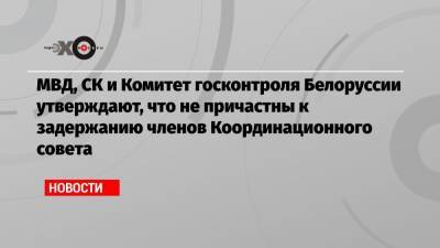 Мария Колесникова - Иван Кравцов - Антон Родненков - МВД, СК и Комитет госконтроля Белоруссии утверждают, что не причастны к задержанию членов Координационного совета - echo.msk.ru - Белоруссия - Минск