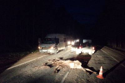 112 диких животных сбили водители в Псковской области с начала года - mk-pskov.ru - Россия - Псковская обл. - Псков