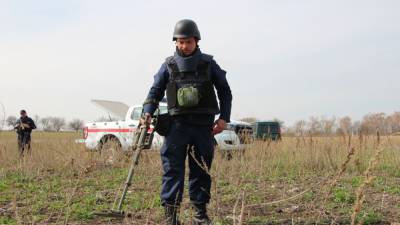 В Ленобласти многодетные семьи получили заминированные участки - svoboda.org - Ленинградская обл. - Санкт-Петербург - р-н Кировский