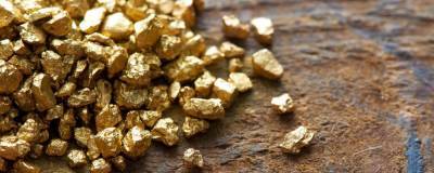 Силовики нашли у жителя Магадана золото и серебро на 2,8 млн рублей - runews24.ru - Магадан - Колымы