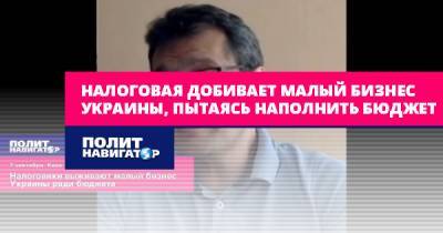 Виктор Скаршевский - Налоговая добивает малый бизнес Украины, пытаясь наполнить бюджет - politnavigator.net - Украина