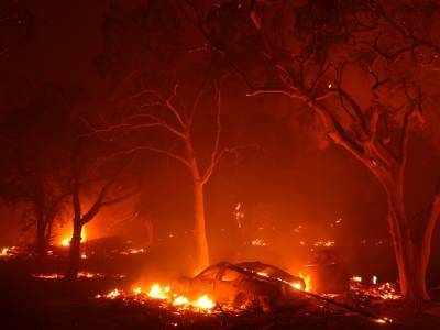 Площадь лесных пожаров в Калифорнии превысила прошлогодний рекорд - golos.ua - USA - шт. Калифорния