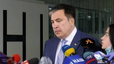 Григол Вашадзе - Советник премьера Грузии объяснил, почему Саакашвили не вернется на родину - inforeactor.ru - Грузия