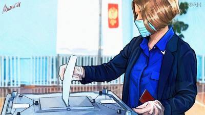 Александр Цыбульский - Елена Вторыгина - Кто из депутатов Госдумы намерен стать сенатором в 2020 году - riafan.ru - Россия - Архангельская обл.