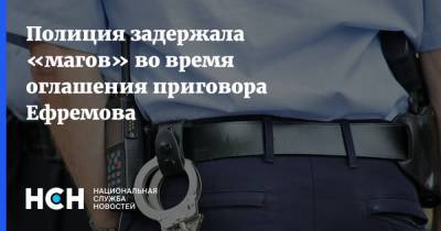 Михаил Ефремов - Александр Добровинский - Эльман Пашаев - Полиция задержала «магов» во время оглашения приговора Ефремова - nsn.fm