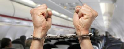 В Омске вынесли приговор дебоширу, пристававшему к стюардессам в самолете - runews24.ru - Москва - Омск