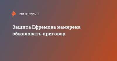 Михаил Ефремов - Эльман Пашаев - Защита Ефремова намерена обжаловать приговор - ren.tv - Москва