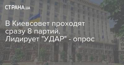 В Киевсовет проходят сразу 8 партий. Лидирует "УДАР" - опрос - strana.ua
