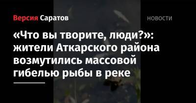 «Что вы творите, люди?»: жители Аткарского района возмутились массовой гибелью рыбы в реке - nversia.ru - Саратовская обл. - район Аткарский
