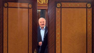 Александр Лукашенко - Роман Бабаян - Лукашенко заявил, что не будет разговаривать с Координационным советом - gazeta.ru - Москва - Белоруссия